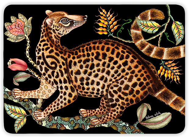 Ardmore Genet Night Place Mats